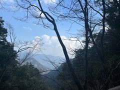 -黄山白云宾馆