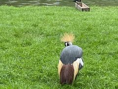 -秦皇岛野生动物园
