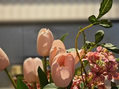 -星巴克(成都机场T2店)