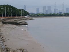 -花好悦园(瀛洲店)