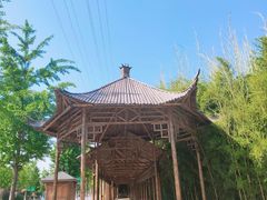 -兰陵国家农业公园