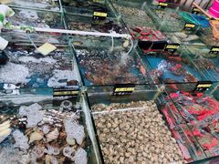 -明记海鲜大排档(巽寮湾店)