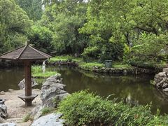 -华山医院-食堂