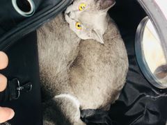 -联合动物医院(光谷诊疗中心)