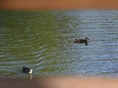 -海珠湖公园