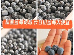 -长白山万达国际度假区