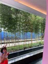 点击看大图 -爱儿美儿童摄影(朝阳公园店)