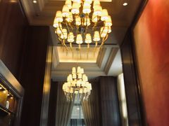 -东海朗廷酒店·廷廊 Palm Court