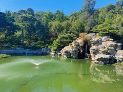-香山公园