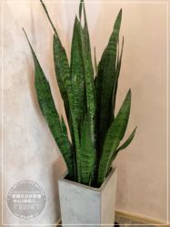 -新蝶变皮肤管理中心