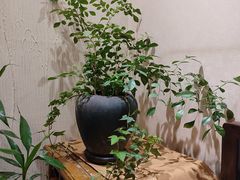 -畅和茶坊·曦瓜中国大红袍
