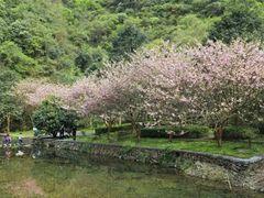 -宁波五龙潭景区