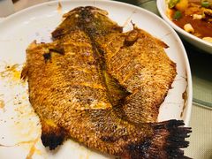 烤鱼-新疆巴州金丝特餐厅(大钟寺店)