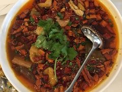 毛血旺-海湾壹品·粤菜·早茶·烤鸭(拱北店)