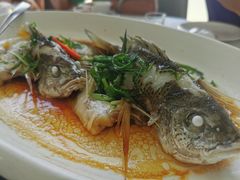 -八仔大富楼·河鲜(西江店)