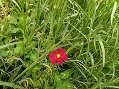 -武汉紫薇都市田园