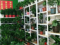 -陈家镇裕安农贸市场