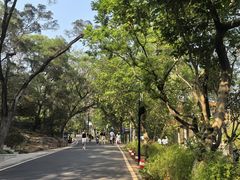 -点都德(广州白云山景区南门店)