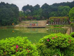 -铁山坪森林公园