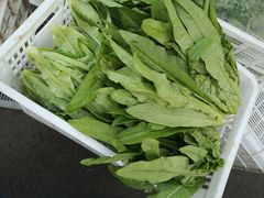 -江杨农产品批发市场