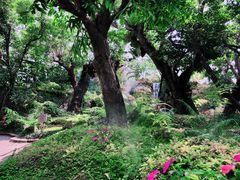 -Chom Cafe and Restaurant