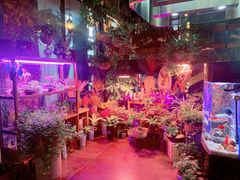 -莫太花餐厅(河北路店)