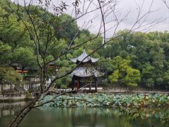 -忠山公园