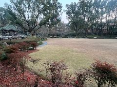 -申粤轩酒楼·三十年粤菜经典(丁香花园店)