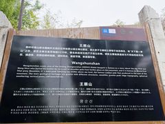 -王顺山国家森林公园