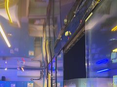 -移动谜城·大笨象密室逃脱(五棵松店)