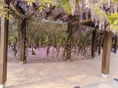 -临沂动植物园
