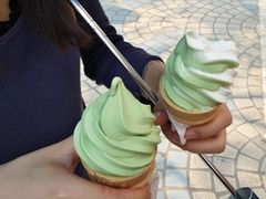 -麦当劳(湛江大厦店)