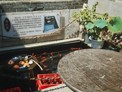 -燕喜堂·中华老字号(大明湖店)