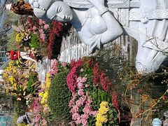 -南山植物园