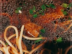 -乔家栅(襄阳南路店)