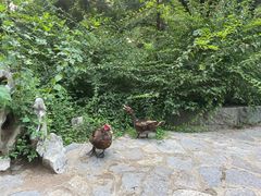 -山东师范大学(千佛山校区)