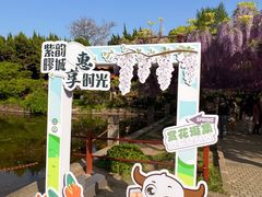 -嘉定紫藤园