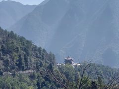 -武陵山森林公园