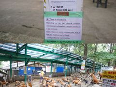 -宫城藏王狐狸村