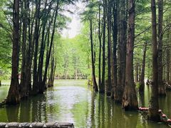 -尚湖风景区