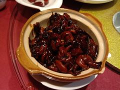 -老吉士酒家(天平路店)