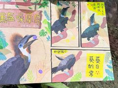 -正佳雨林生态植物园