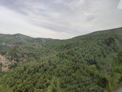 -红崖峡谷景区