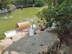 -厦门日月谷温泉渡假村