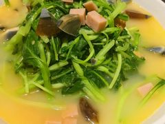 -金枝玉叶上海人家食府(三里河店)