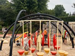 -铁山坪森林公园