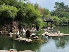 -水绘园