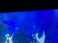 -江和美海洋公园
