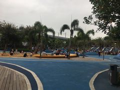 -宝安西湾红树林湿地公园