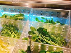 -温野菜涮涮锅(西单大悦城店)